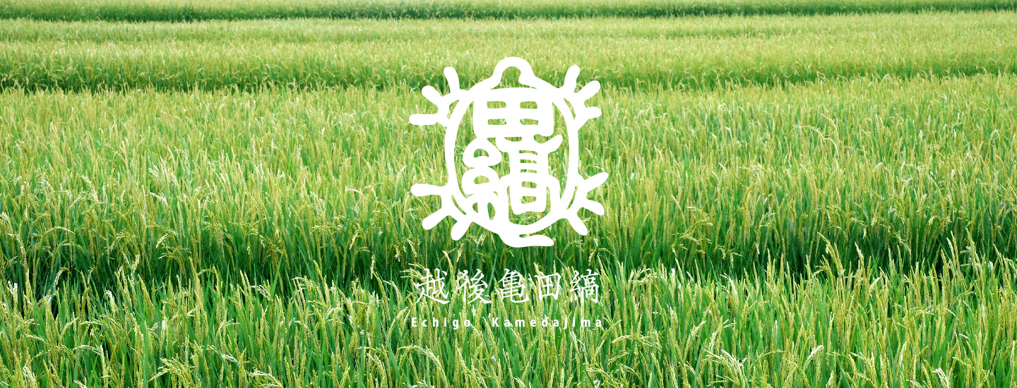 Nakaei's Kamedajima image